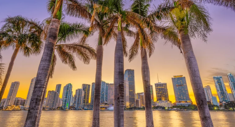 Miami Trip 101: Top Group Restaurants, Nightlife and Beaches